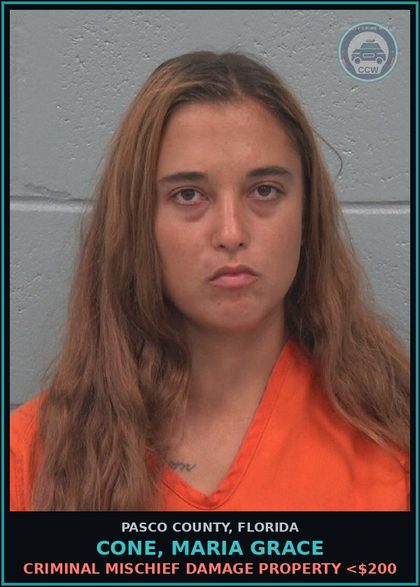 CCW arrest card for CONE, MARIA GRACE in Pasco County: CRIMINAL MISCHIEF DAMAGE PROPERTY <$200