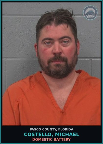 CCW arrest card for COSTELLO, MICHAEL in Pasco County: DOMESTIC BATTERY