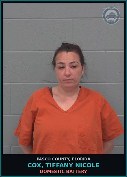 CCW arrest card for COX, TIFFANY NICOLE in Pasco County: DOMESTIC BATTERY