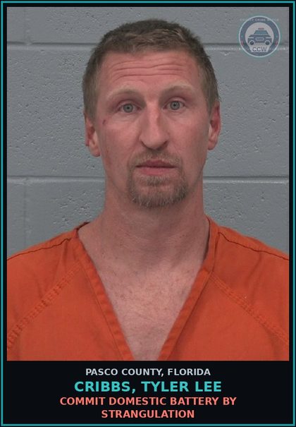 CCW arrest card for CRIBBS, TYLER LEE in Pasco County: COMMIT DOMESTIC BATTERY BY STRANGULATION