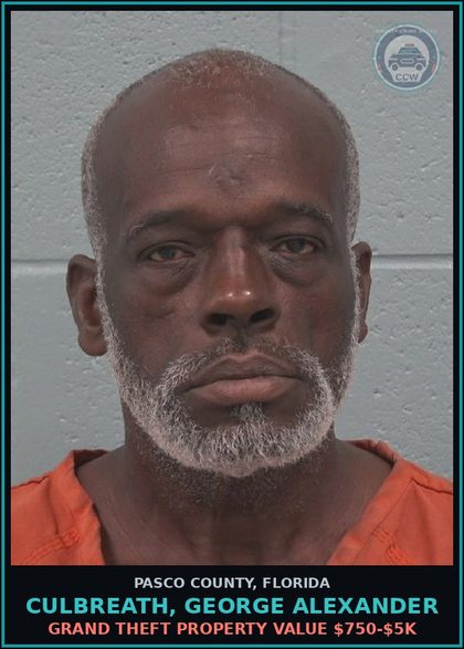 CCW arrest card for CULBREATH, GEORGE ALEXANDER in Pasco County: GRAND THEFT PROPERTY VALUE $750-$5K