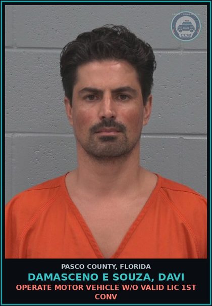 CCW arrest card for DAMASCENO E SOUZA, DAVI in Pasco County: OPERATE MOTOR VEHICLE W/O VALID LIC 1ST CONV