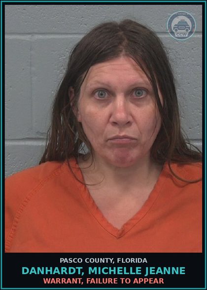 CCW arrest card for DANHARDT, MICHELLE JEANNE in Pasco County: WARRANT, FAILURE TO APPEAR