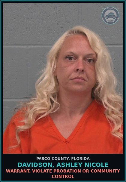 CCW arrest card for DAVIDSON, ASHLEY NICOLE in Pasco County: WARRANT, VIOLATE PROBATION OR COMMUNITY CONTROL