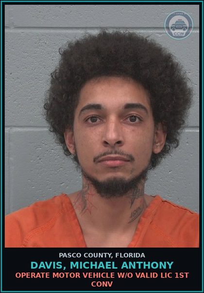 CCW arrest card for DAVIS, MICHAEL ANTHONY in Pasco County: OPERATE MOTOR VEHICLE W/O VALID LIC 1ST CONV