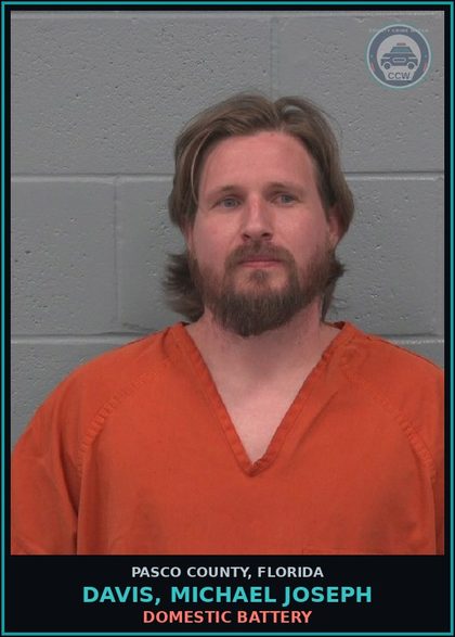 CCW arrest card for DAVIS, MICHAEL JOSEPH in Pasco County: DOMESTIC BATTERY