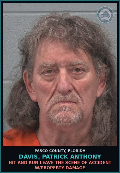 CCW arrest card for DAVIS, PATRICK ANTHONY in Pasco County: HIT AND RUN LEAVE THE SCENE OF ACCIDENT W/PROPERTY DAMAGE