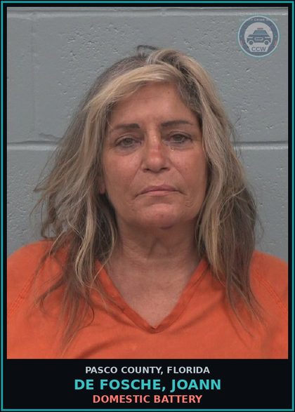 CCW arrest card for DE FOSCHE, JOANN in Pasco County: DOMESTIC BATTERY