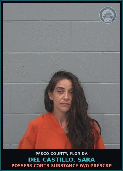 CCW arrest card for DEL CASTILLO, SARA in Pasco County: POSSESS contr substance W/O PRESCRIPTION