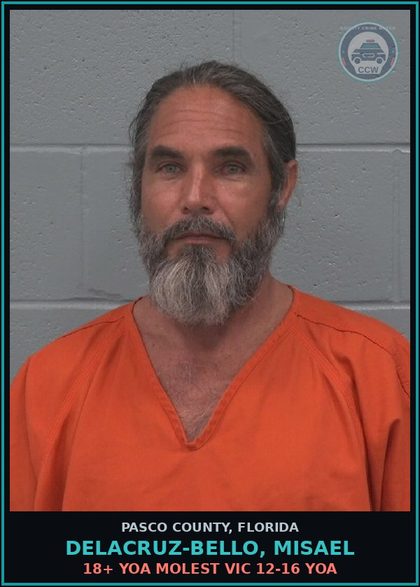 CCW arrest card for DELACRUZ-BELLO, MISAEL in Pasco County: 18+ YOA MOLEST VICTIM 12-16 YOA