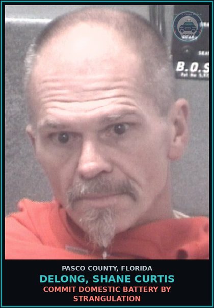 CCW arrest card for DELONG, SHANE CURTIS in Pasco County: COMMIT DOMESTIC BATTERY BY STRANGULATION
