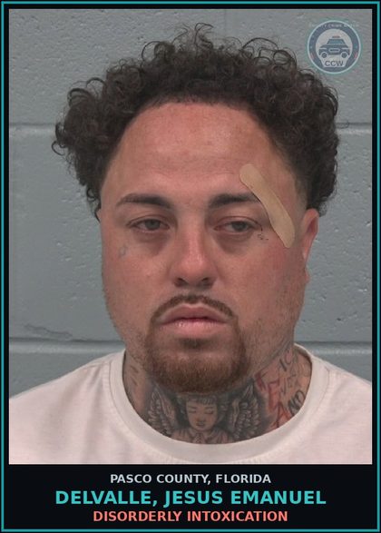 CCW arrest card for DELVALLE, JESUS EMANUEL in Pasco County: DISORDERLY INTOXICATION