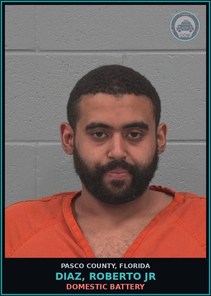 CCW arrest card for DIAZ, ROBERTO JR in Pasco County: DOMESTIC BATTERY
