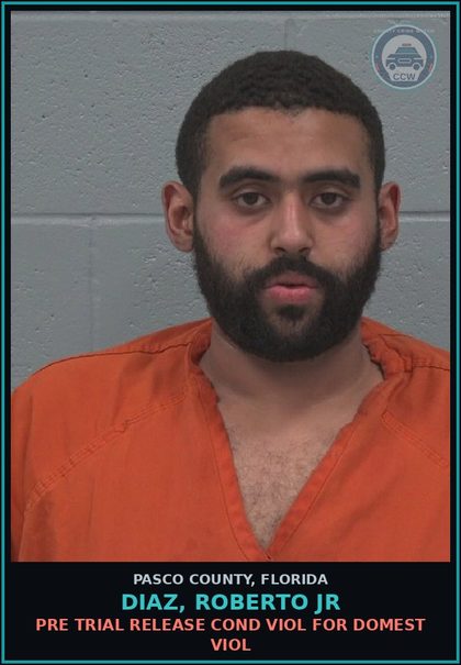 CCW arrest card for DIAZ, ROBERTO JR in Pasco County: PRE TRIAL RELEASE COND VIOL FOR DOMEST VIOL