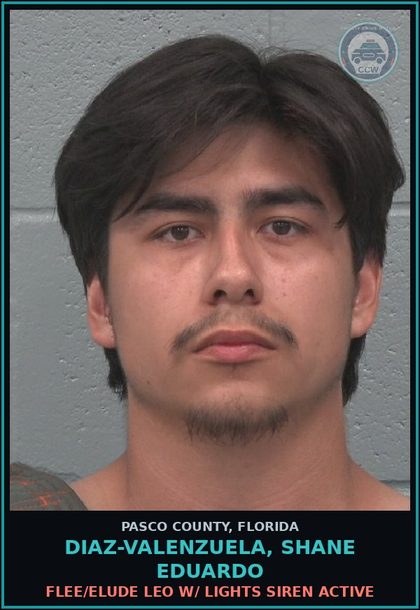 CCW arrest card for DIAZ-VALENZUELA, SHANE EDUARDO in Pasco County: FLEE/ELUDE LEO W/ LIGHTS SIREN ACTIVE