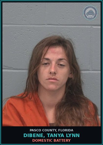 CCW arrest card for DIBENE, TANYA LYNN in Pasco County: DOMESTIC BATTERY
