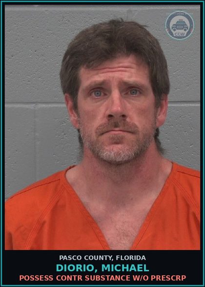 CCW arrest card for DIORIO, MICHAEL in Pasco County: POSSESS contr substance W/O PRESCRIPTION