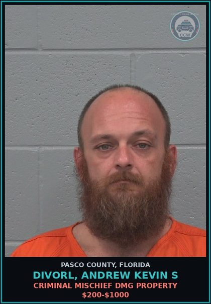 CCW arrest card for DIVORL, ANDREW KEVIN S in Pasco County: CRIMINAL MISCHIEF DMG PROPERTY $200-$1000