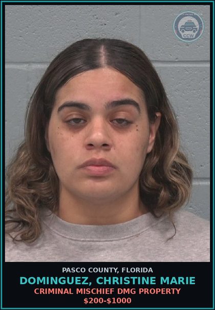 CCW arrest card for DOMINGUEZ, CHRISTINE MARIE in Pasco County: CRIMINAL MISCHIEF DMG PROPERTY $200-$1000