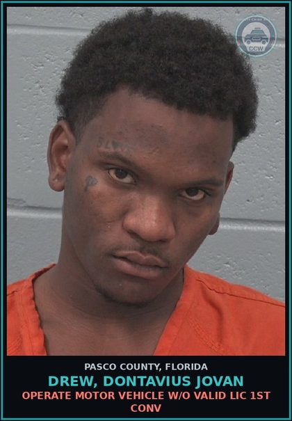 CCW arrest card for DREW, DONTAVIUS JOVAN in Pasco County: OPERATE MOTOR VEHICLE W/O VALID LIC 1ST CONV