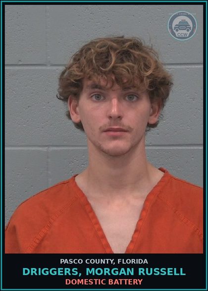 CCW arrest card for DRIGGERS, MORGAN RUSSELL in Pasco County: DOMESTIC BATTERY