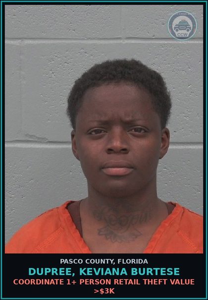 CCW arrest card for DUPREE, KEVIANA BURTESE in Pasco County: COORDINATE 1+ PERSON RETAIL THEFT VALUE >$3K