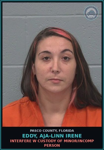 CCW arrest card for EDDY, AJA-LINN IRENE in Pasco County: INTERFERE W CUSTODY OF MINOR/INCOMP PERSON