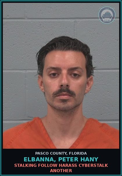 CCW arrest card for ELBANNA, PETER HANY in Pasco County: STALKING FOLLOW HARASS CYBERSTALK ANOTHER
