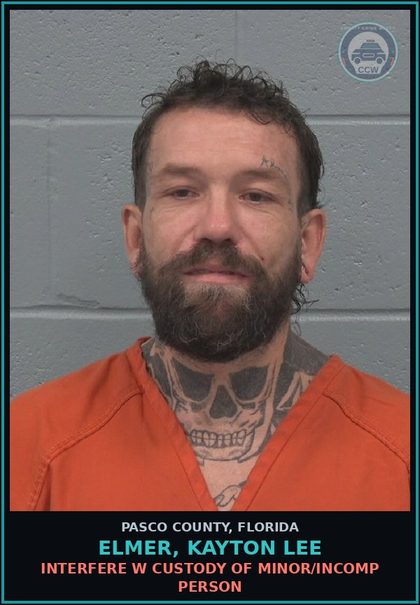 CCW arrest card for ELMER, KAYTON LEE in Pasco County: INTERFERE W CUSTODY OF MINOR/INCOMP PERSON