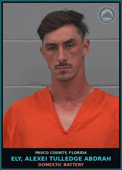 CCW arrest card for ELY, ALEXEI TULLEDGE ABDRAH in Pasco County: DOMESTIC BATTERY