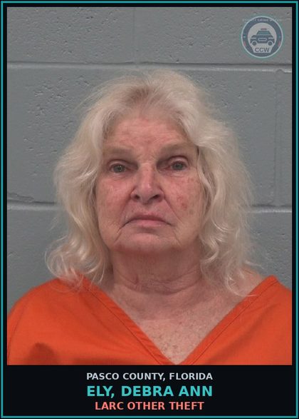 CCW arrest card for ELY, DEBRA ANN in Pasco County: LARC OTHER THEFT