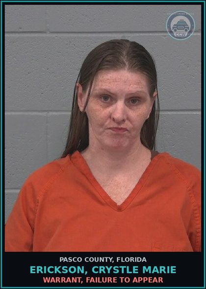 CCW arrest card for ERICKSON, CRYSTLE MARIE in Pasco County: WARRANT, FAILURE TO APPEAR