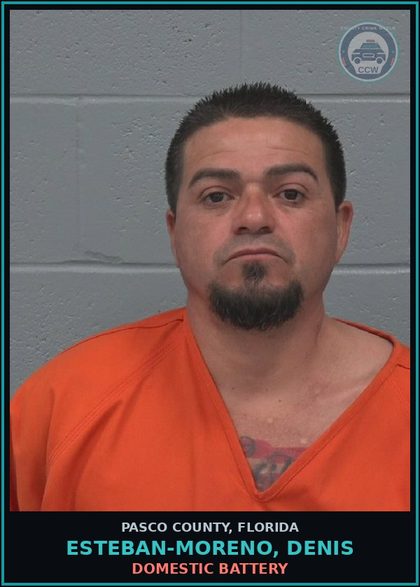CCW arrest card for ESTEBAN-MORENO, DENIS in Pasco County: DOMESTIC BATTERY