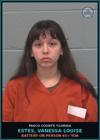 CCW arrest card for ESTES, VANESSA LOUISE in Pasco County: BATTERY ON PERSON 65+ YOA
