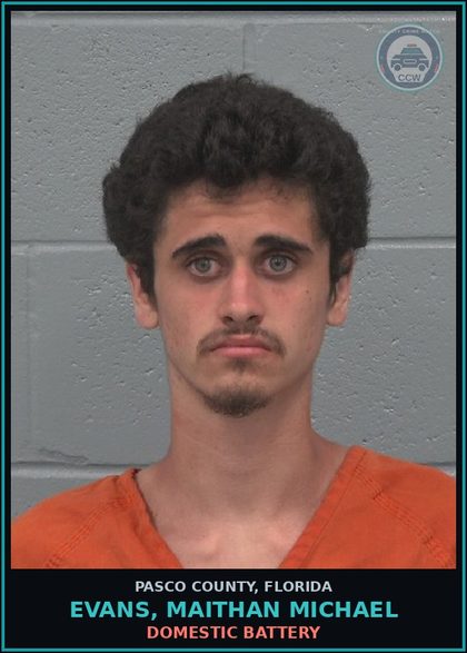 CCW arrest card for EVANS, MAITHAN MICHAEL in Pasco County: DOMESTIC BATTERY