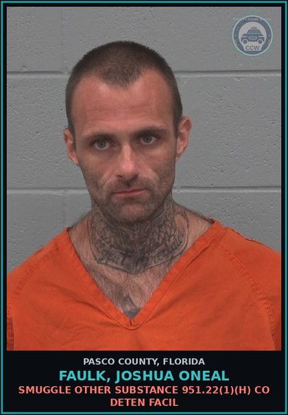 CCW arrest card for FAULK, JOSHUA ONEAL in Pasco County: SMUGGLE OTHER DRUG 951.22(1)(H) CO DETEN FACIL