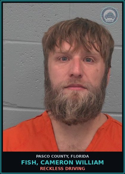 CCW arrest card for FISH, CAMERON WILLIAM in Pasco County: RECKLESS DRIVING