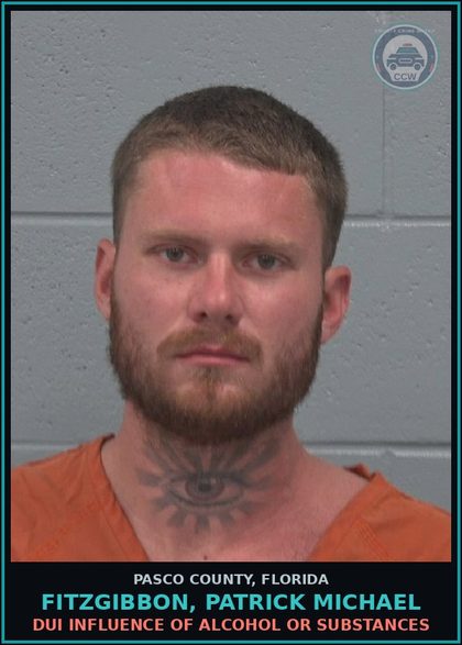 CCW arrest card for FITZGIBBON, PATRICK MICHAEL in Pasco County: DUI INFLUENCE OF ALCOHOL OR DRUGS