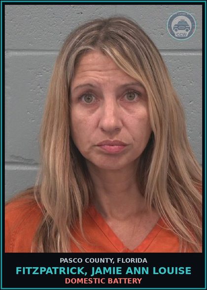 CCW arrest card for FITZPATRICK, JAMIE ANN LOUISE in Pasco County: DOMESTIC BATTERY