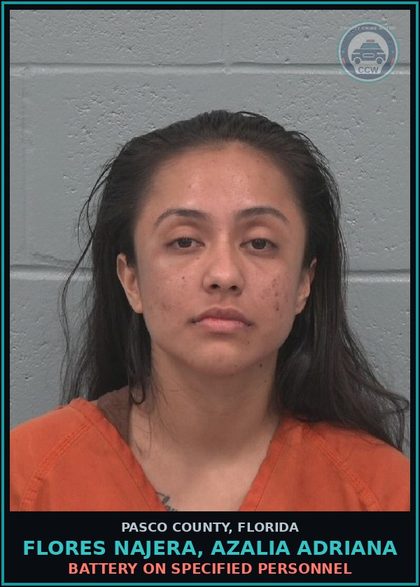 CCW arrest card for FLORES NAJERA, AZALIA ADRIANA in Pasco County: BATTERY ON SPECIFIED PERSONNEL