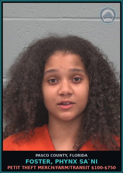 CCW arrest card for FOSTER, PHYNX SA`NI in Pasco County: PETIT THEFT MERCH/FARM/TRANSIT $100-$750