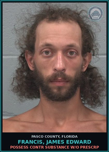 CCW arrest card for FRANCIS, JAMES EDWARD in Pasco County: POSSESS contr substance W/O PRESCRIPTION