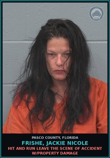 CCW arrest card for FRISHE, JACKIE NICOLE in Pasco County: HIT AND RUN LEAVE THE SCENE OF ACCIDENT W/PROPERTY DAMAGE