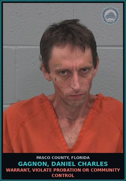 CCW arrest card for GAGNON, DANIEL CHARLES in Pasco County: WARRANT, VIOLATE PROBATION OR COMMUNITY CONTROL