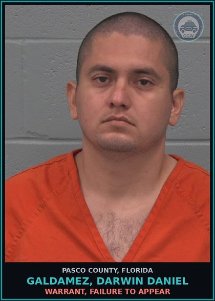 CCW arrest card for GALDAMEZ, DARWIN DANIEL in Pasco County: WARRANT, FAILURE TO APPEAR