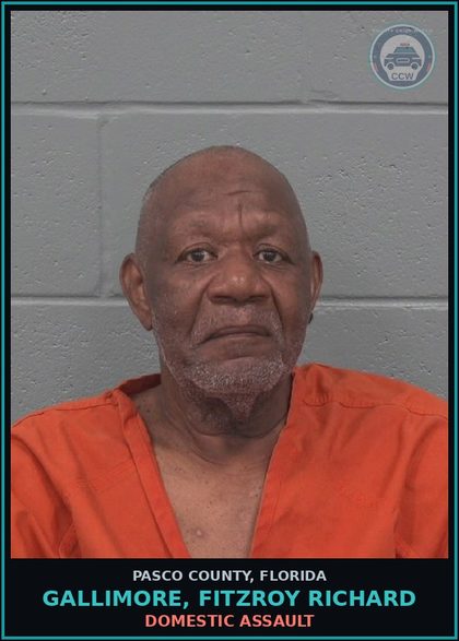 CCW arrest card for GALLIMORE, FITZROY RICHARD in Pasco County: DOMESTIC ASSAULT