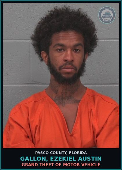 CCW arrest card for GALLON, EZEKIEL AUSTIN in Pasco County: GRAND THEFT OF MOTOR VEHICLE