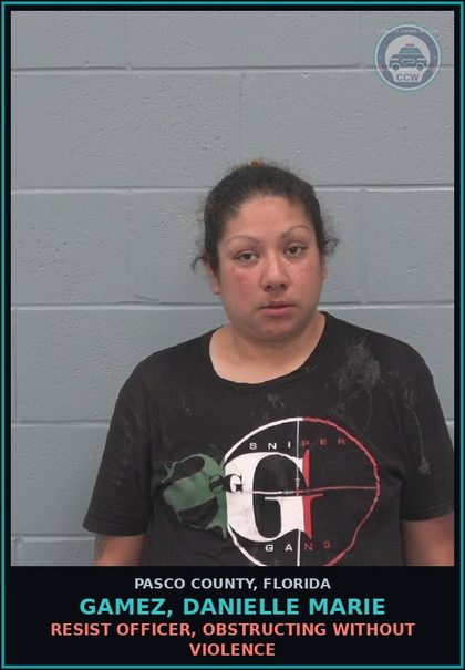 CCW arrest card for GAMEZ, DANIELLE MARIE in Pasco County: RESIST OFFICER, OBSTRUCTING WITHOUT VIOLENCE