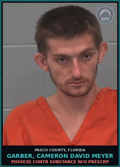 CCW arrest card for GARBER, CAMERON DAVID MEYER in Pasco County: POSSESS contr substance W/O PRESCRIPTION