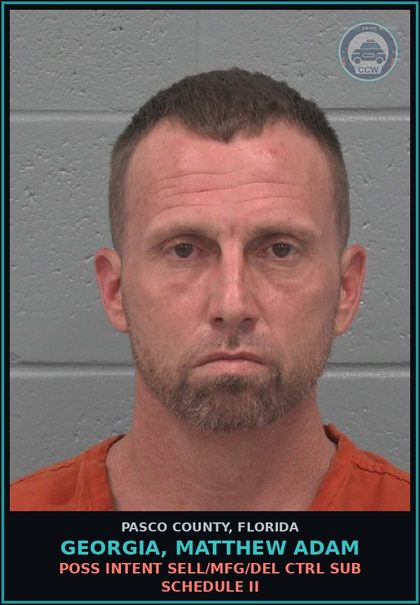 CCW arrest card for GEORGIA, MATTHEW ADAM in Pasco County: POSS INTENT SELL/MFG/DEL CTRL SUB SCHEDULE II